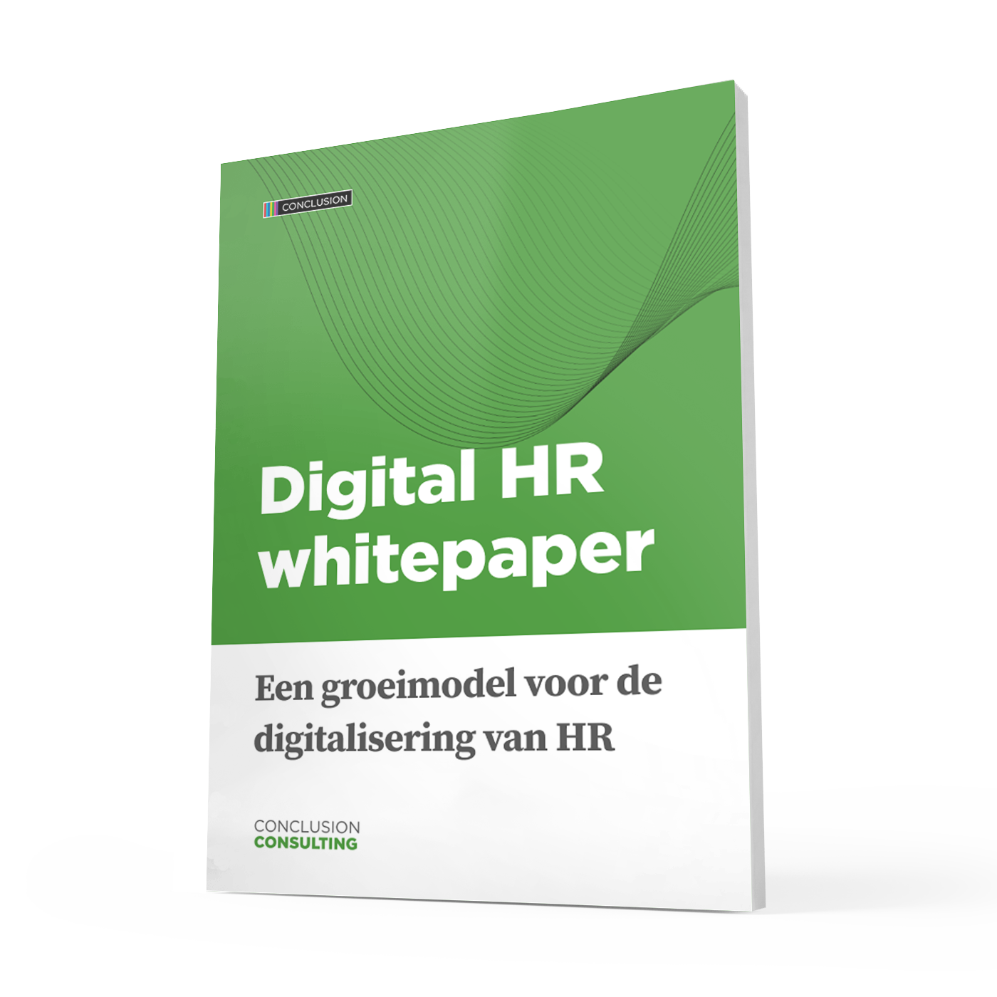 Consulting Digital HR